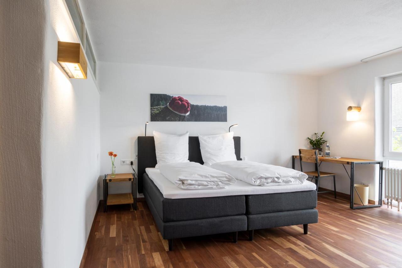 Bike- Und Ferienhotel Freiburg Merzhausen Eksteriør billede